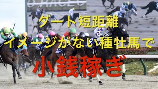 【競馬】ダート短距離🏇バレていない儲かる種牡馬【競馬検証】