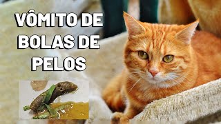 VÔMITO DE BOLA DE PELOS EM GATOS. Gato vomitando pelos. COMO EVITAR - Gatil Hauser