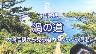 【迫力！】大鳴門橋から見るぐるぐる渦潮（徳島）