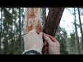 cutting timber notches handtools only building awesome fireplace at outdoor survival camp