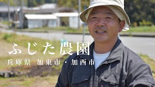 兵庫県加東市・加西市、ふじた農園さんインタビュー。