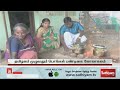 தமிழகம் முழுவதும் பொங்கல் பண்டிகை கோலாகலம் pongal sathiyamtv