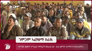 DW TV  ንዳግመ ሕውየት ትግራይ ተዋዲድካ ክስራሕ እዩ - ቢሮ ልምዓት ከተማን ኮንስትራክሽንን