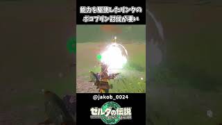 【ティアキン】能力を駆使したリンクのボコブリン討伐が凄い【ゼルダの伝説 ティアーズ オブ ザ キングダム】