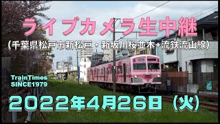 【ライブカメラ】生中継／千葉県松戸市新坂川桜並木／2022年4月26日【桜並木・流鉄流山線リアルタイム配信】