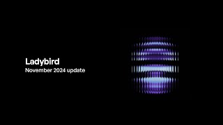 Ladybird browser update (November 2024)