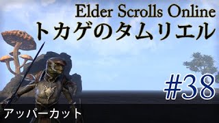 #38［Steam 英語版］実況：トカゲのタムリエル THE ELDER SCROLLS ONLINE