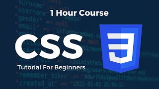 CSS Tutorial For Beginners - Learn CSS in Just One Hour