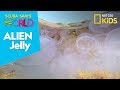 Alien Jelly | Scuba Sam's World