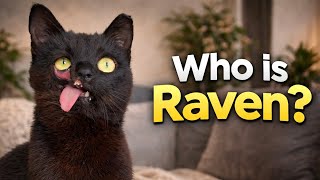 Who is Raven? (And what happened to her)