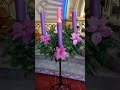 Advent Candle | #shorts | #satisfying | #asmr | (@tadeotalan )