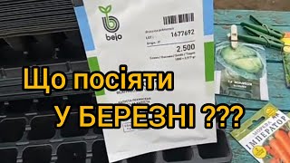 що посіяти у березні?.