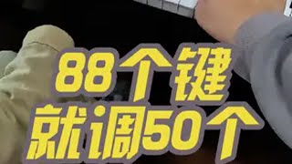 哥们儿挺黑啊 调50个音挣88个的钱音乐 乐器演奏 随拍 调音师 我记得