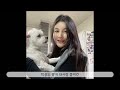 먹또먹vlog 한겨울에 올리는 여름부터 가을까지브이로그 콩이네로여름휴가 노가리생파 송별회 가을대하 맛집투어 강남맛집 먹고또먹고