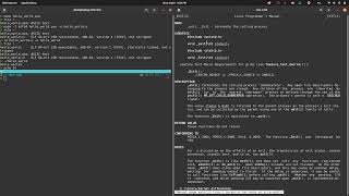 Hello world in x64 assembly (Linux)
