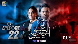 Aye Ishq e Junoon Episode 22 | Ushna Shah | Sheheryar Munawar - 20 January 2025 | Jahangir Last Try