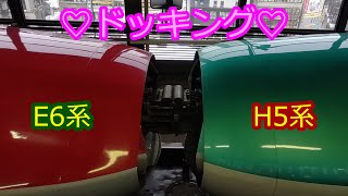 【盛岡駅 H5系E6系併結シーン】はやぶさ･こまち28号