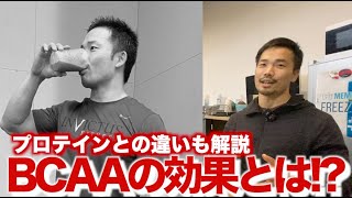 BCAAとは？意味ない！？効果やプロテインとEAAの違い、飲むタイミングを解説 What is BCAA? Effects and differences from protein and EAA