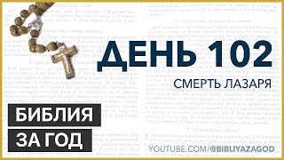 День 102: Смерть Лазаря – «Библия за год» с о.Майком Шмитцем