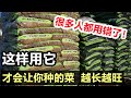 这样使用它, 才会让你种的蔬菜 蓬荜生辉, 可惜很多人都用错了 Mulch for vegetables