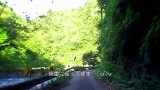 早戸川林道・奥野隧道から＠神奈川県相模原市緑区