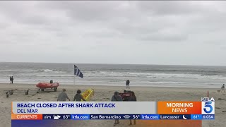 Swimmer attacked by shark at SoCal beach