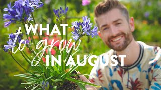 What to Plant in August | Late Summer Colour & Food - My 5 Essential Plants!
