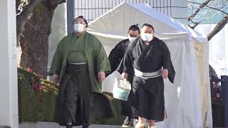 入待ち 白鷹山【大相撲令和6年1月場所】初日  2023/1/14 Hakuyozan [Sumo] DAY1 Jan 2024 現地観戦 初場所