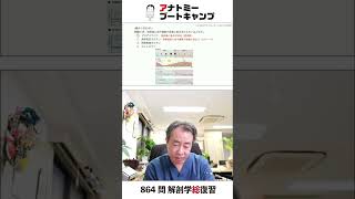 【 #国試1分道場 ・生殖器系】排卵後に血中濃度が急速に高まるホルモンはどれか　１．プロゲステロン　２．黄体形成ホルモン　３．卵胞刺激ホルモン　４．エストロゲン #かずひろ先生 #解剖学