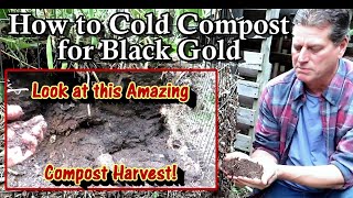 Fall Cold Composting Made Easy with An Amazing Compost Harvest: How to Harvest Garden Black Gold!