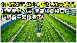 1小時30畝，48小時催化，20天成苗，還能私人訂製！記者爬上20層“智能化育秧工廠”，被眼前一幕驚呆了！