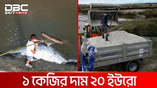 ফ্রান্সের সাদা সোনা | DBC NEWS Special