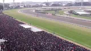 第５９回有馬記念本馬場入場　ゴンドラ席から　２０１４．１２．２８