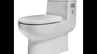 Dual Flush Toilet - One Piece White Bowl - EAGO TB351