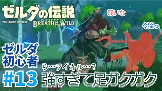 足の震えが止まりませんでした#13 【ゼルダの伝説 ブレス オブ ザ ワイルド】