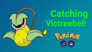 A Wild Victreebel Has Appeared!