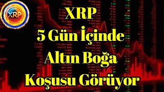 Kripto Sesli Haber | XRP Fiyat Geçmişi Tahmini 5 Gün İçinde Altın Boğa Koşusu Görüyor