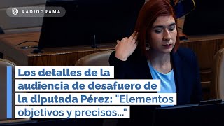 Los detalles de la audiencia de desafuero de la diputada Catalina Pérez (RD)