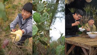 山林里不起眼的野生仙人掌果，晒干后泡酒炖猪脚，却让人回味无穷