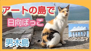 【ねこ島】瀬戸内国際芸術祭の舞台男木島で甘えん坊の猫が可愛すぎます...