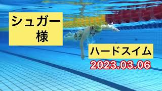 シュガー様　スイムハード　2023.03.07  一礼会