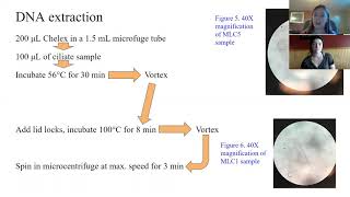 Genetics Lab - module 2 presentation