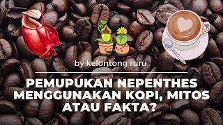 LOGIKA NEPENTHES Ep.5: PEMUPUKAN MENGGUNAKAN KOPI , MITOS ATAU FAKTA?