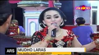 streaming  oleh ALBINO COKEK - MUDHO LARAS Live PANDAK,KRIKILAN,MASARAN