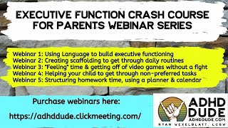 ADHD Dude Executive Function Crash Course for Parents Webinar Series - Ryan Wexelblatt