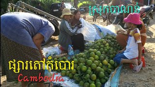 41. ផ្សារតៅកំបោរ ឃុំឈើទាល ស្រុកបាណន់ ខេត្តបាត់ដំបង