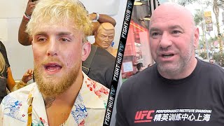 JAKE PAUL "THESE GUYS ARE OWNED BY DANA WHITE!" GOES OFF ON UFC FIGHTER PAY & TELLS OFF DANA WHITE