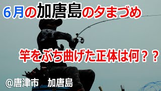 2023年6月中旬　唐津市　加唐島　夕マヅメ釣行