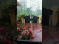 heavy rain in kollam today today no video sree sree vlogs shorts