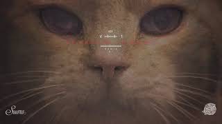 V111 - Light Fifty (Ritzi Lee Remix) [Suara]